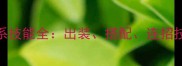 攻略降龙2梵天魄系技能全出装搭配连招技巧与实战应用