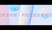 剑雨逍遥坐骑培养全攻略平民玩家必看高性价比坐骑推荐