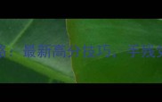 Sakaki保姆级攻略最新高分技巧手残党也能轻松上分