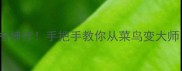 通关率30的硬核神作手把手教你从菜鸟变大师附隐藏彩蛋