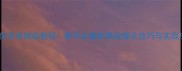 CSGO鸟狙任务保姆级教程新手必看的高效爆头技巧与实战应用指南