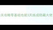 PSP小小克星保姆级通关攻略零基础也能3天练成隐藏大佬附新手必看资源包