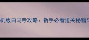 天龙八部单机版白马寺攻略新手必看通关秘籍与隐藏剧情