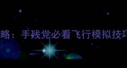 开飞机单机游戏攻略手残党必看飞行模拟技巧与完整通关指南