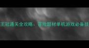 暗影界失落王冠通关全攻略冒险题材单机游戏必备技巧与隐藏任务