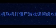 单机联机打僵尸游戏保姆级攻略