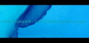 单机游戏修改存档数据保姆级教程手把手教你解锁隐藏道具无限金币附避坑指南