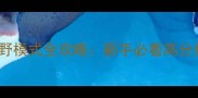 Mirror无限边缘狂野模式全攻略新手必看高分技巧与终极进阶指南