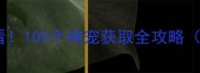 灭神宠物平民玩家必看100个神宠获取全攻略零氪也能肝到满星