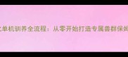 生存进化单机驯养全流程从零开始打造专属兽群保姆级教程