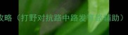 王者荣耀全英雄各路攻略打野对抗路中路发育路辅助实战技巧与版本更新