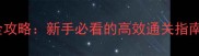 3DS塞尔达传说旷野之息全攻略新手必看的高效通关指南含隐藏要素与资源整理