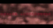 三国手机单机游戏通关全攻略必玩技巧与资源管理指南附下载链接
