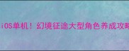 必玩iOS单机幻境征途大型角色养成攻略全