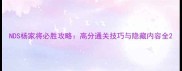 NDS杨家将必胜攻略高分通关技巧与隐藏内容全