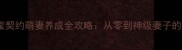 推荐甜蜜契约萌妻养成全攻略从零到神级妻子的进阶指南