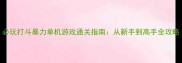 必玩打斗暴力单机游戏通关指南从新手到高手全攻略