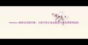 Homewars最新全地图攻略从新手到王者必胜技巧与资源管理指南