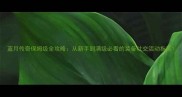 蓝月传奇保姆级全攻略从新手到满级必看的装备社交活动指南