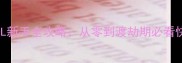 凡人修仙传OL新手全攻略从零到渡劫期必看快速升级指南