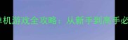电脑大型帝国单机游戏全攻略从新手到高手必读的终极指南