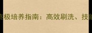 大话西游5五匹坐骑终极培养指南高效刷洗技能搭配与秒杀技巧全