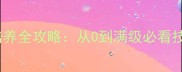 天书奇谈宝宝培养全攻略从0到满级必看技巧与养成路线