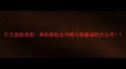仁王游戏类型单机联机全攻略与隐藏福利大公开