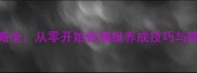魂之轨迹女主攻略全从零开始到满级养成技巧与隐藏结局解锁指南