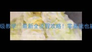 决斗学院保姆级教学最新全流程攻略零基础也能3天变大神