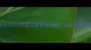 方舟生存进化150小时孤岛单机全攻略从新手到大师的完整指南