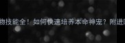 六龙争霸宠物技能全如何快速培养本命神宠附进阶养成技巧