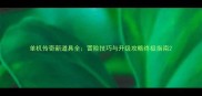 单机传奇新道具全冒险技巧与升级攻略终极指南