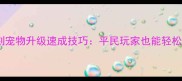 保姆级教程复刻宠物升级速成技巧平民玩家也能轻松养出SSR神宠