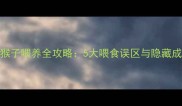 动物森友会猴子喂养全攻略5大喂食误区与隐藏成就解锁指南