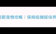 大话西游3最新宠物攻略保姆级捕捉培养阵容搭配全