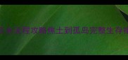 方舟生存进化单机全流程攻略焦土到孤岛完整生存指南附资源地图
