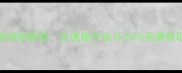 哈罗机器人全攻略新手必看保姆级教程快速提升战斗力与资源获取技巧附最新版本更新内容