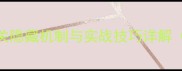 霍基2通关全攻略23关隐藏机制与实战技巧详解附多周目资源规划