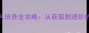万事屋SSR纸人培养全攻略从获取到进阶的保姆级指南