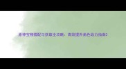 原神宝物搭配与获取全攻略高效提升角色战力指南