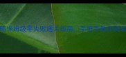魔龙之魂祭坛攻略保姆级零失败通关指南手把手教你刷装备拿限定皮肤