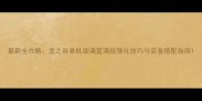 最新全攻略龙之谷单机版满星满级强化技巧与装备搭配指南