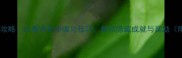 海上小镇通关攻略必看详细步骤与技巧解锁隐藏成就与奖励附图文指南