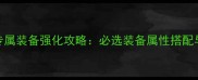 弹弹堂职业专属装备强化攻略必选装备属性搭配与实战技巧全