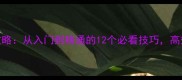 单机游戏通关攻略从入门到精通的12个必看技巧高效提升通关效率